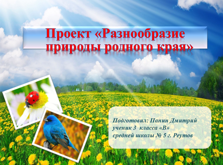 Разнообразие природы. Разнообразие природы родного края. Проект разнообразие родного края. Проект разнообразие природы.